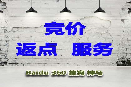 SEM代理操作技巧：成功案例揭秘